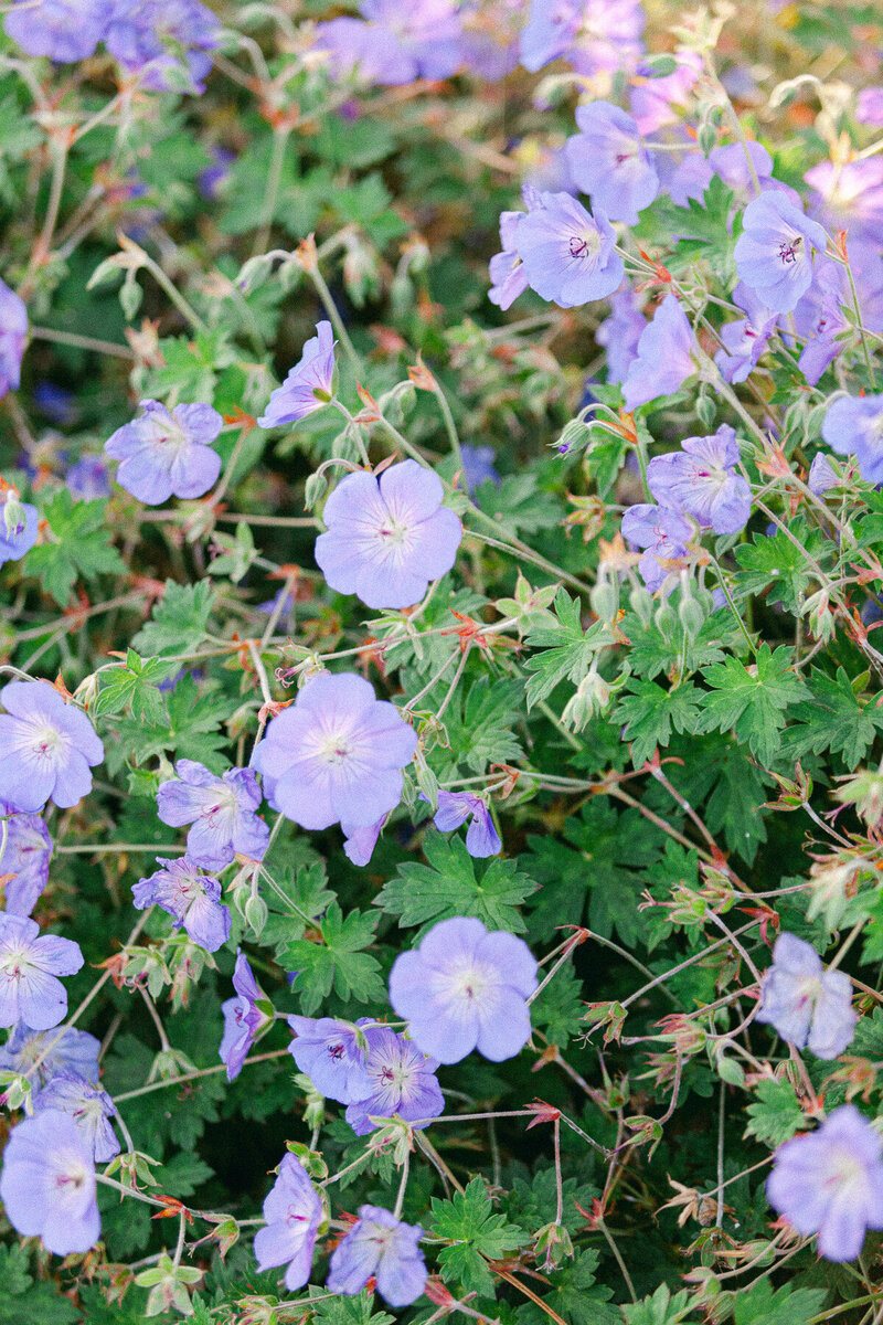 Brinsop-Court-Wedding-September-Garden-Wedding-46