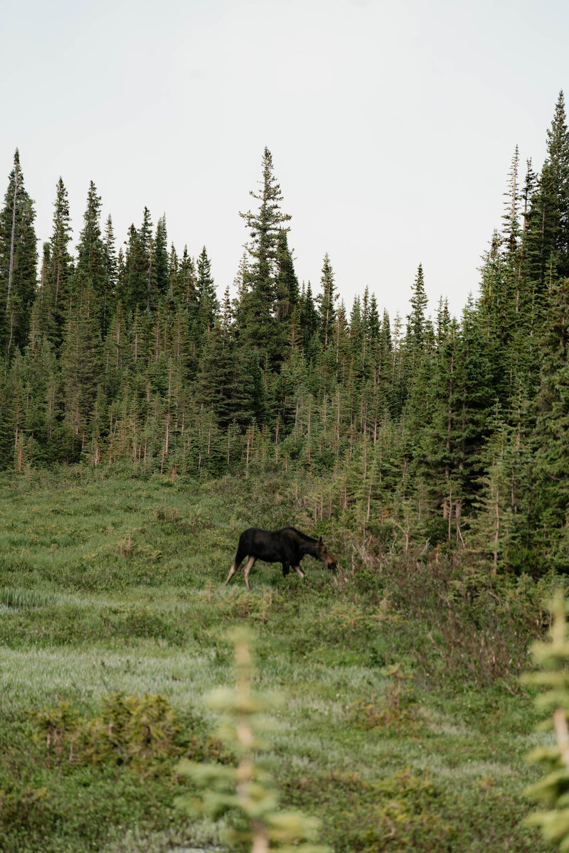Ana_Connor_Long_Lake_Engagement_Photos-45