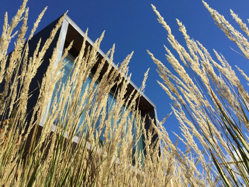 nieuwbouw schuurwoning in de natuur met grote glazen pui  met uitzicht. natuurlijke omgeving