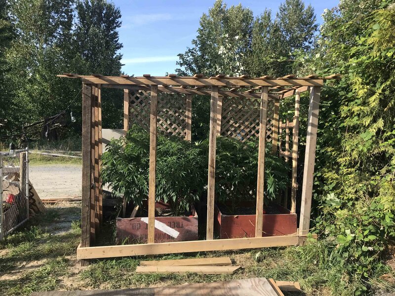 The Silo Garden Backyard Patio Renovations 2019 - 03