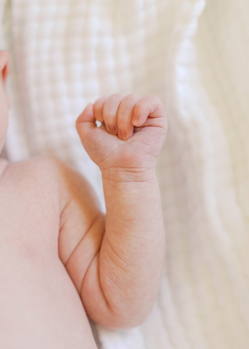 Baby Hand Details for newborn photoshoot in Dallas Forth Worth