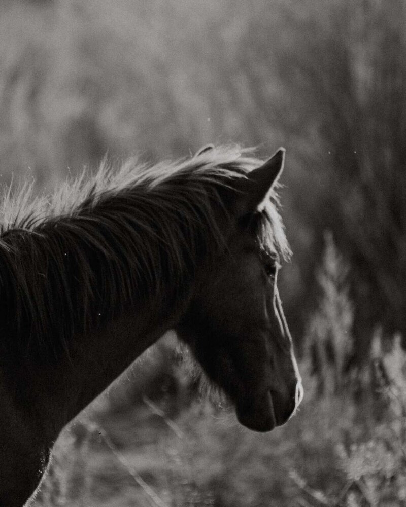 editorial-stock-images29