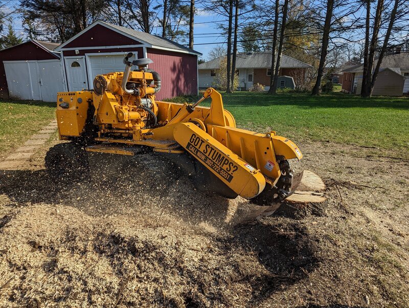 Stump Grinding in Delaware