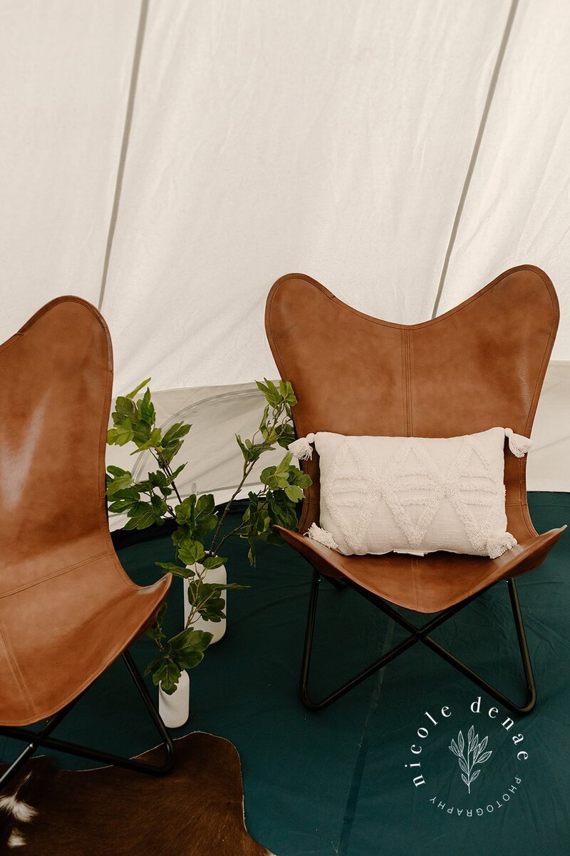 Leather Butterfly Chairs with cream throw pillow and greenery
