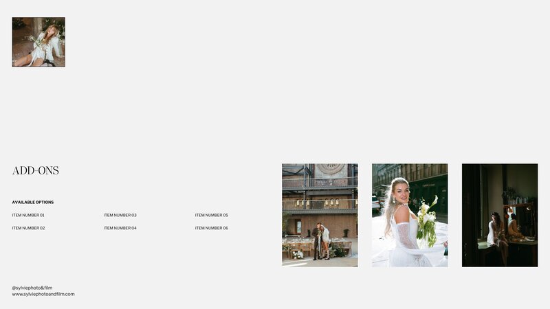 sylvie pricing guide mockup