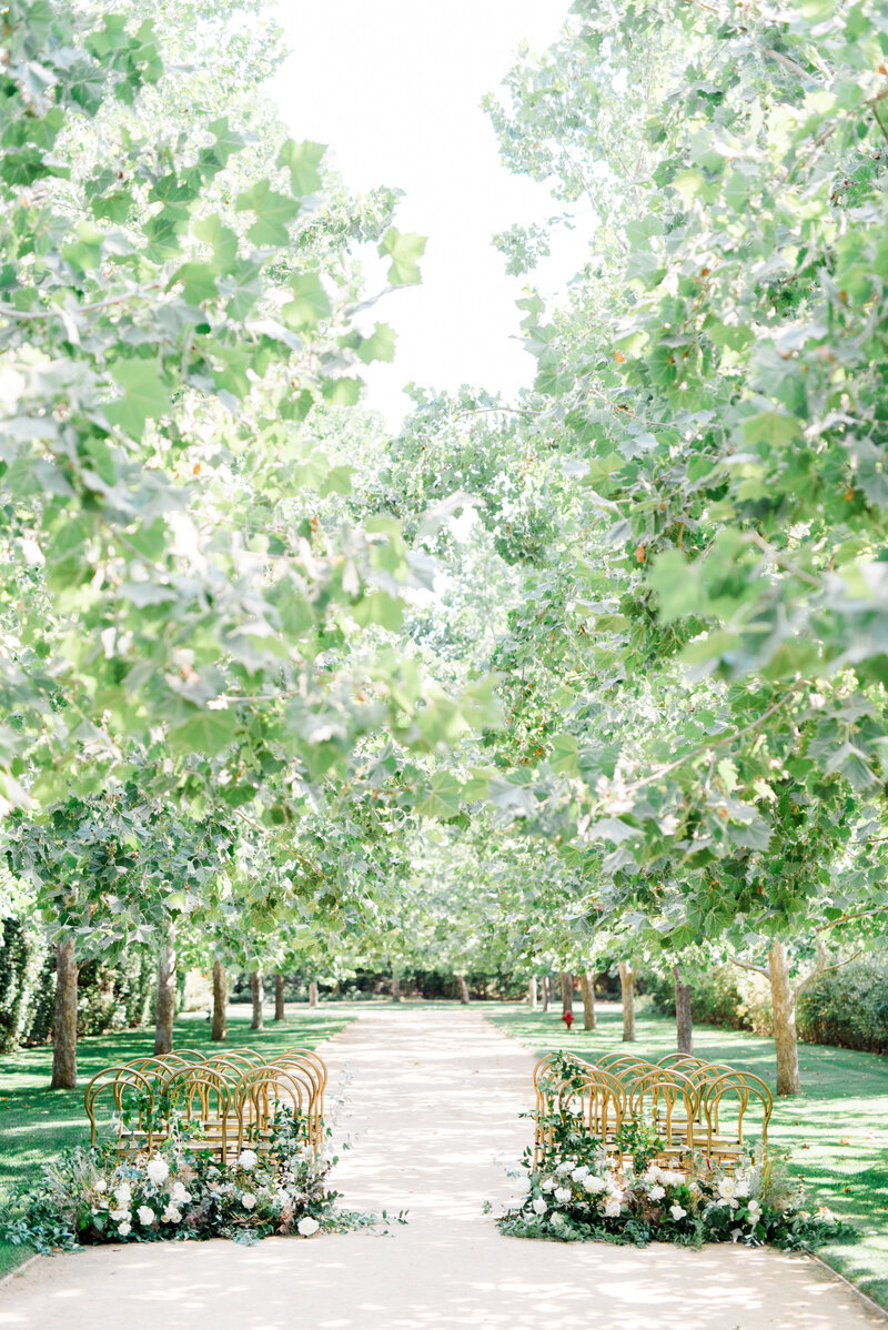 Kestrel-KristinLeannePhotography-39
