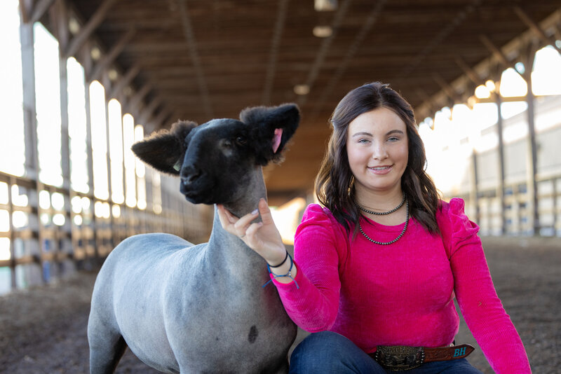 livestock photography