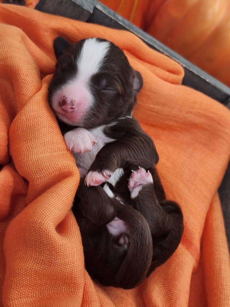 281f582c-f077-4a12-8748-71d21d0e0812