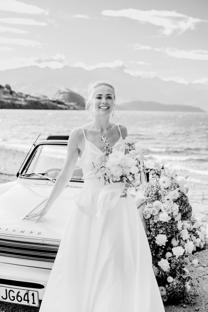 B&W-3103