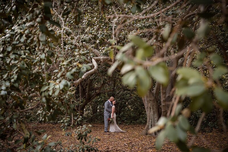 A glass structure at Adelaide Botanic Garden