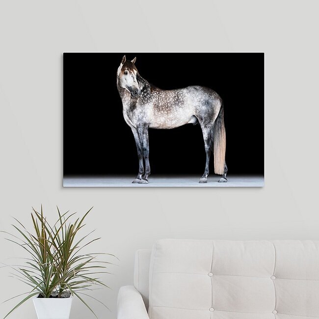 wall art mockup of a grey horse on a black background