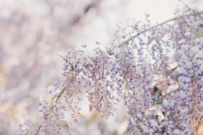 Nature-196680