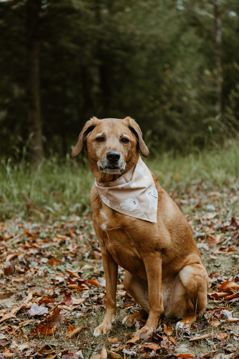hudson valley wedding photographer (1)