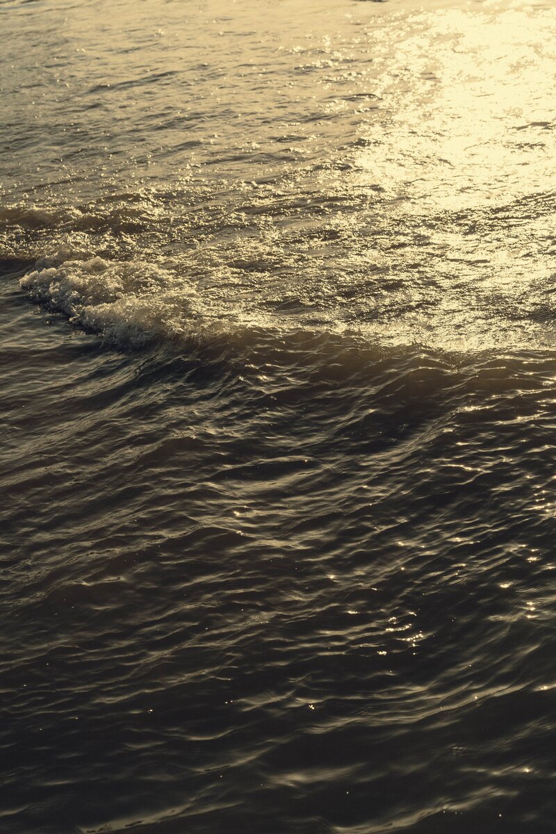 The Kinfolk Creative branding photos from Chicago 