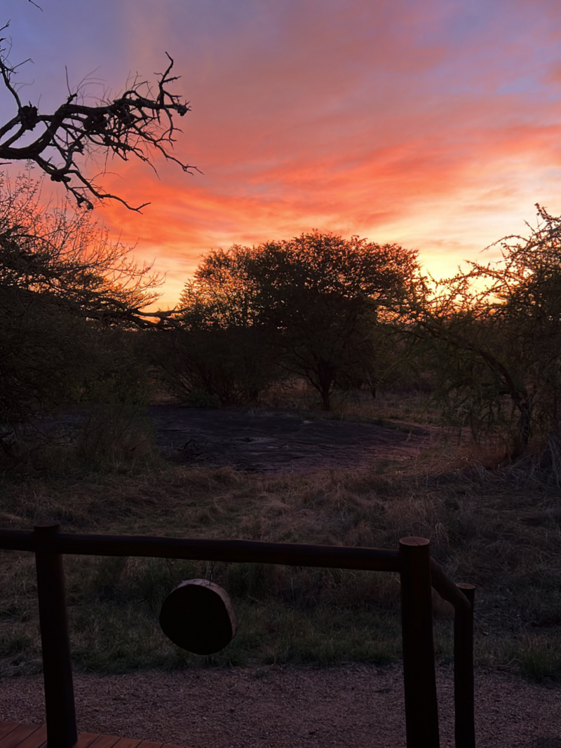 Serengeti