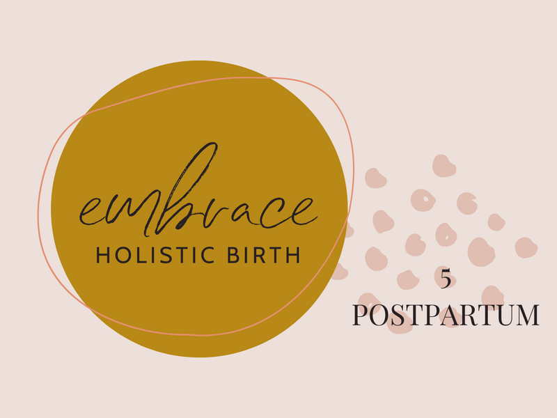 Embrace Holistic Birth - POSTPARTUM
