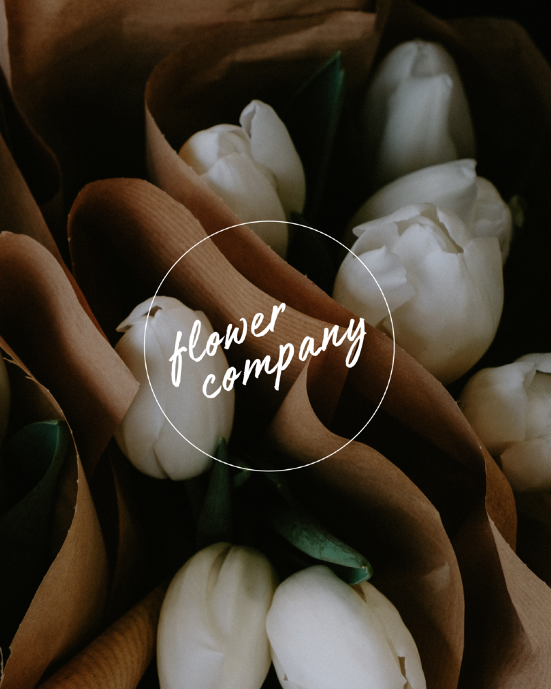 Flower-Co-02