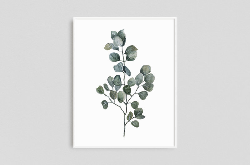 Watercolor Prints - Framed x 1 - Eucalyptus