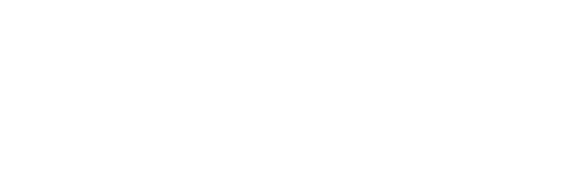 Confetti & Silk logo