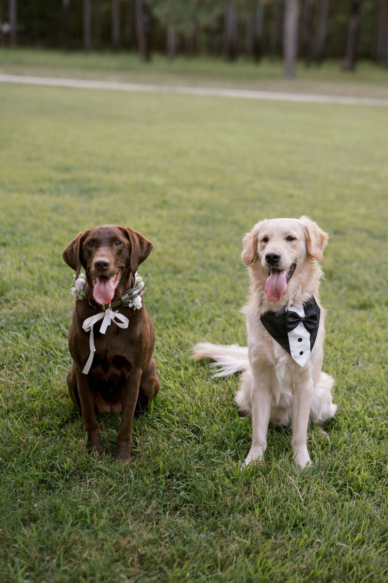 Roni+KyleWedding-931