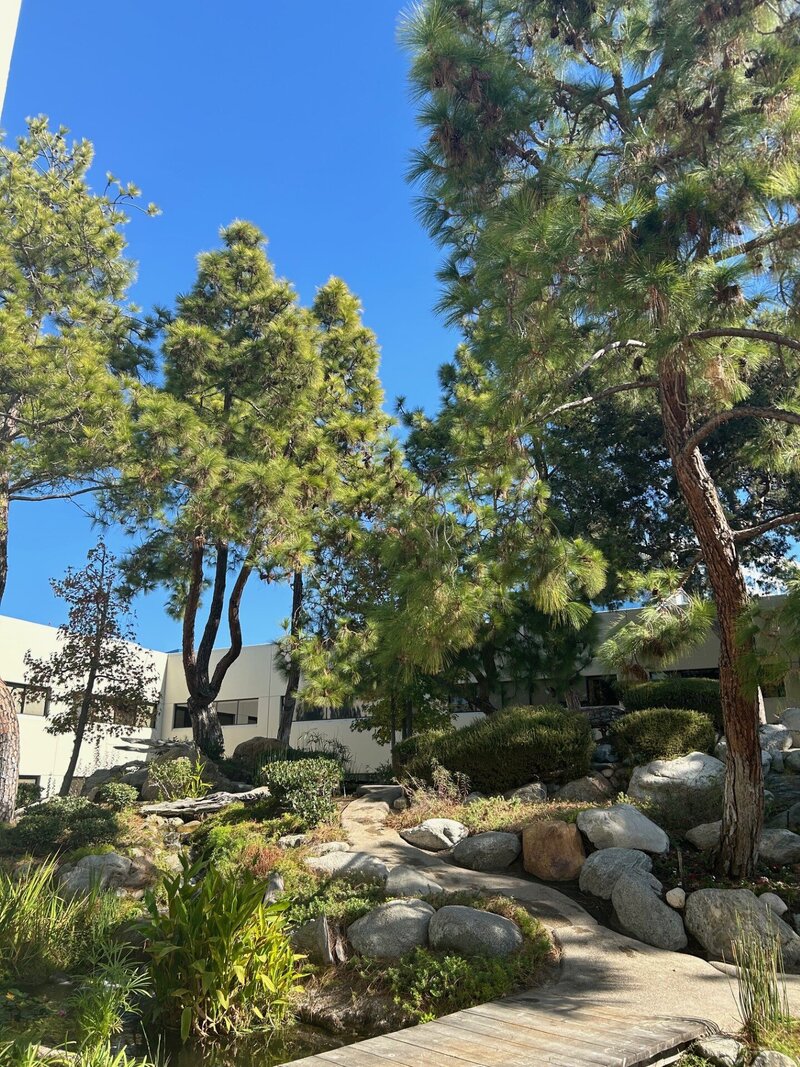 streams2