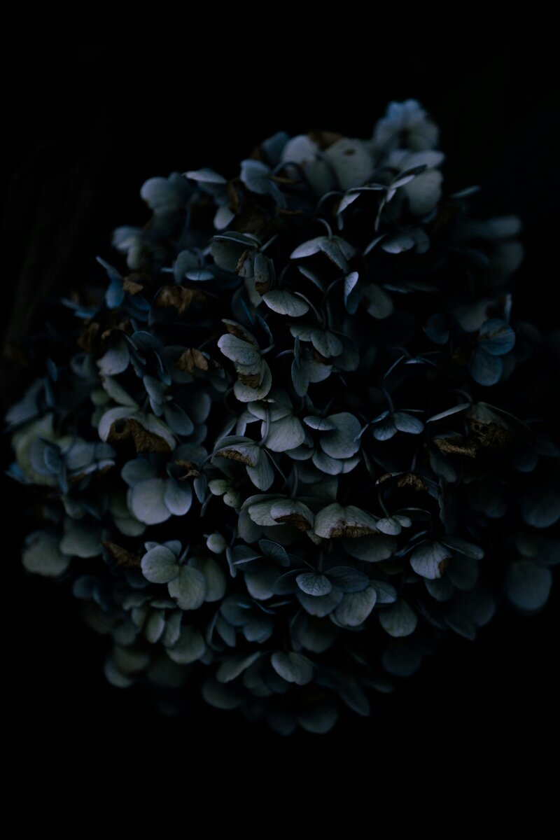 tokyo-kohaku-KzxMWSTlZnM-unsplash