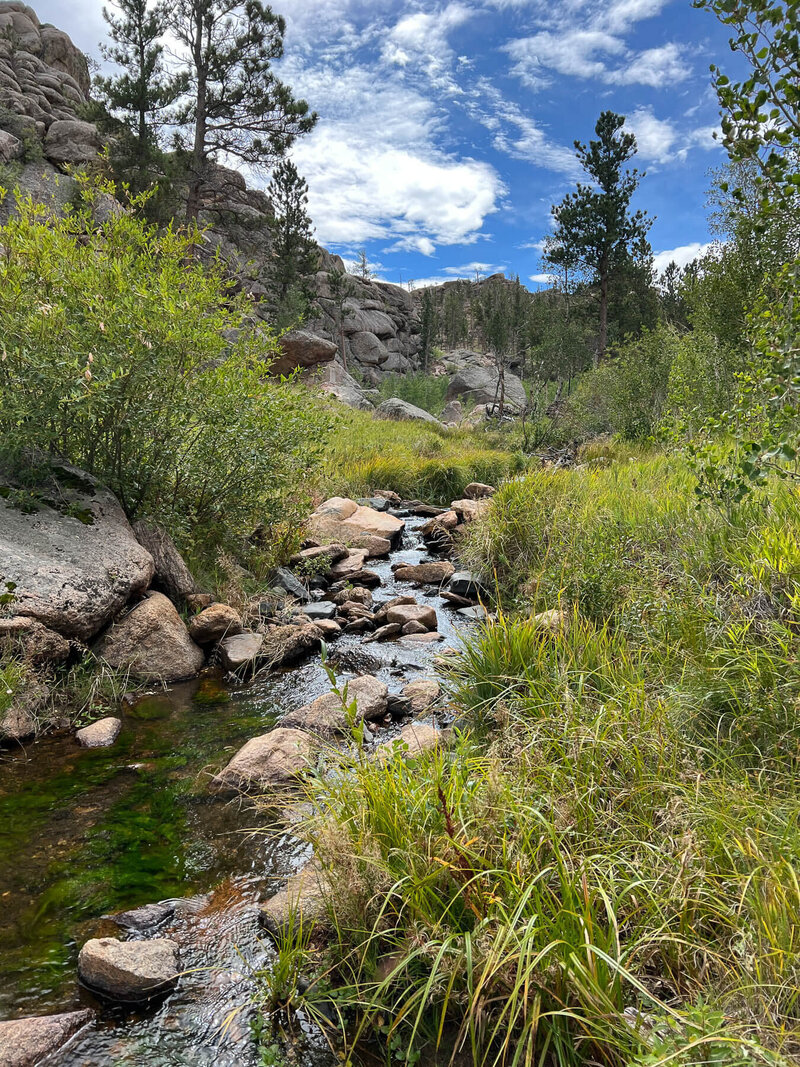 vacant land in Wyoming