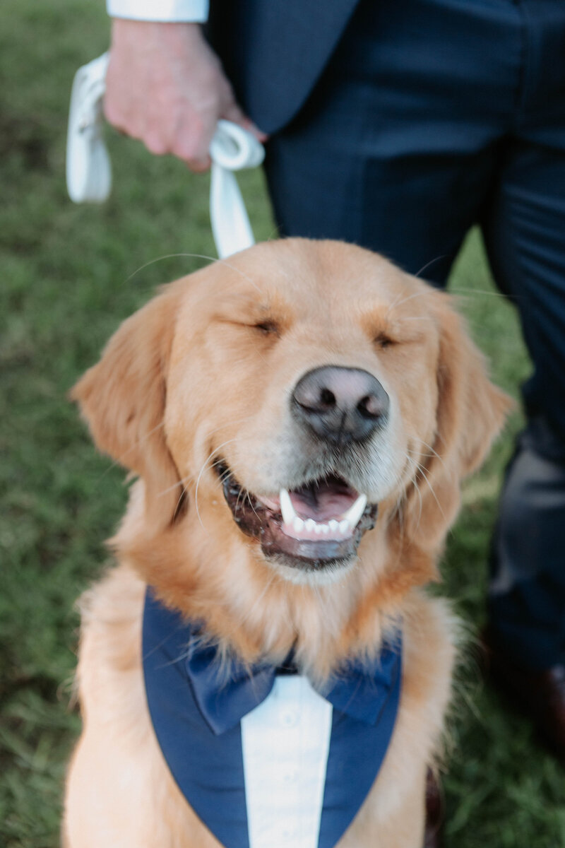 AlexAndChrisWedding-20