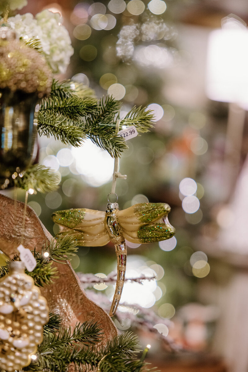 PetesGreenhouseAmarillo-165