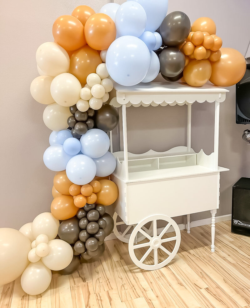 Balloon Garlands Bismarck 5