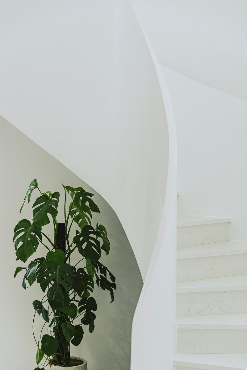ling-hua-xrPoIT1jaq8-unsplash
