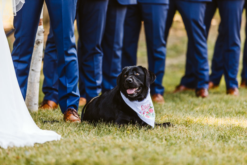 Josh + Jennie Preview-17