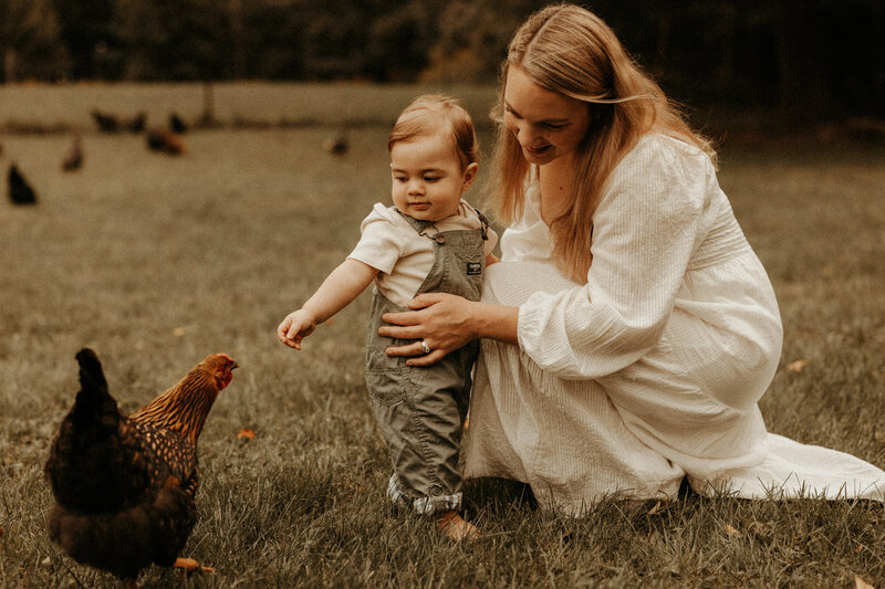 Family photos on a farm