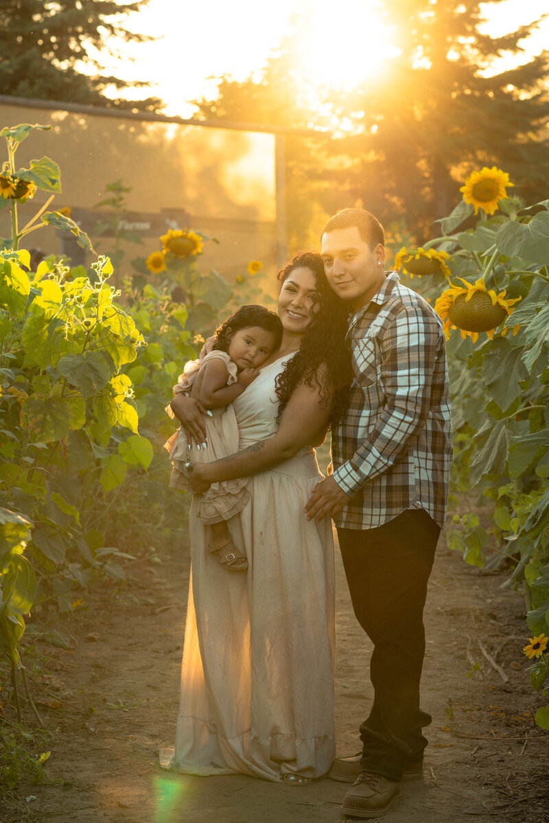 Beautiful family photo session in a sunflower field during golden hour in Salem, Oregon. The family poses with the warm glow of the sunset, creating a serene and picturesque moment.