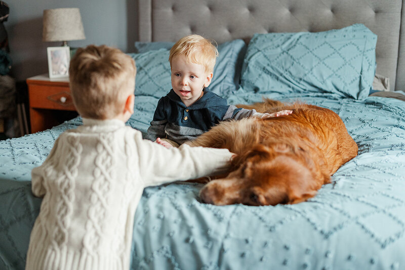 Two young boys and their golden retriever snuggling on the bed during a relaxed at-home family session york pa