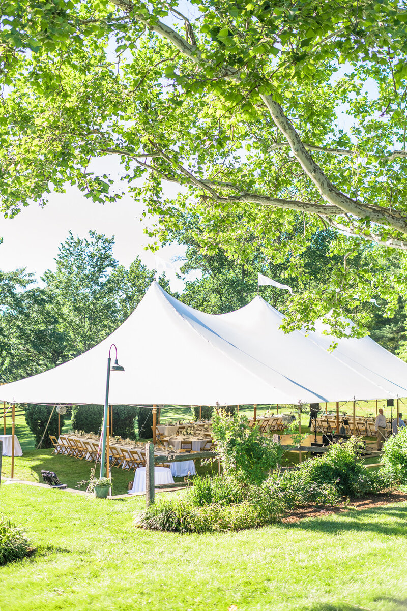 8-casey-mary-warrenton-virginia-private-estate-wedding-photographer-10