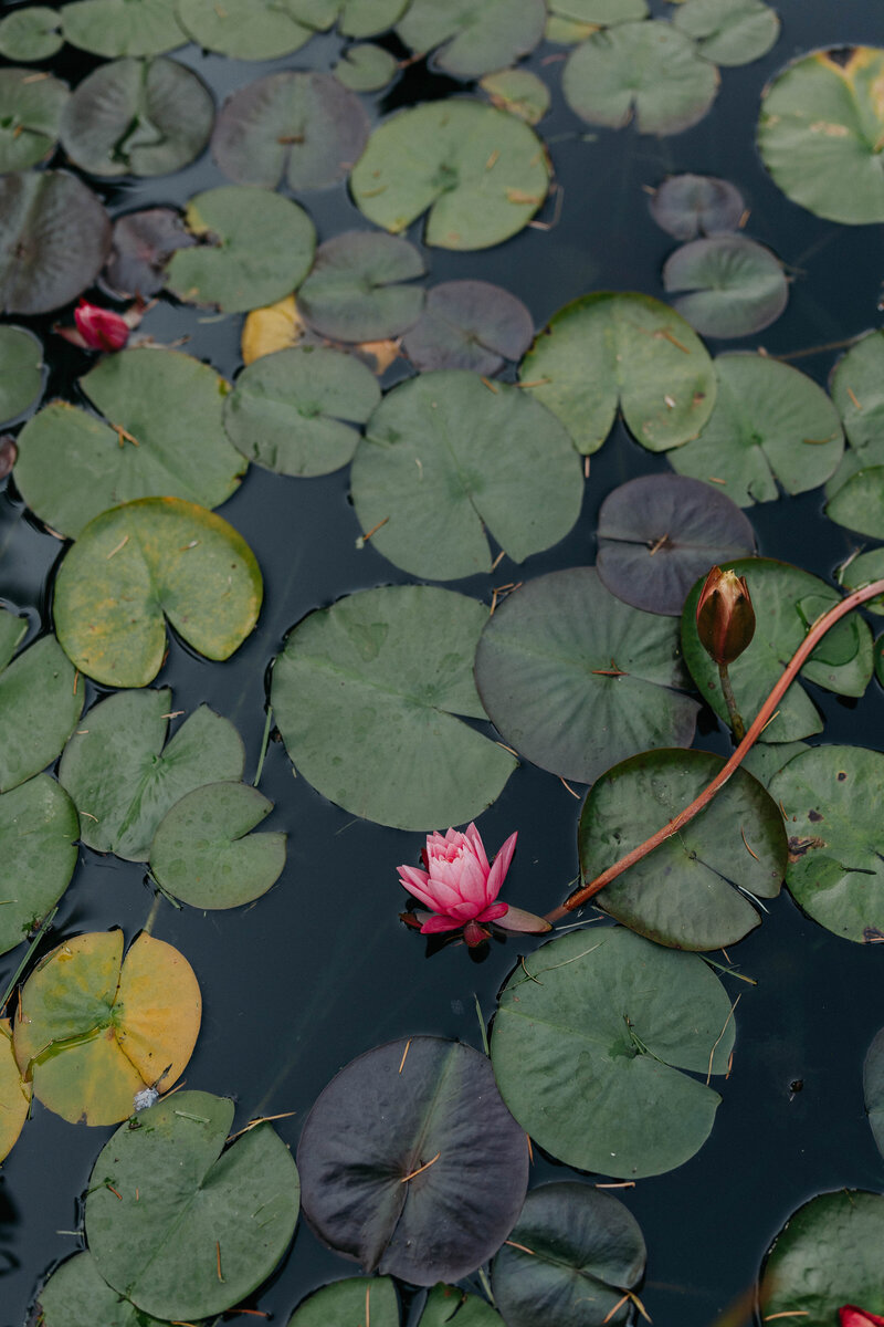 Groom holding bride in a flowing dress on a rocky cliffside overlooking a black sand beach, captured by a Spokane wedding photographer.