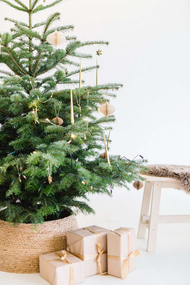 minixmasshootDeko-1-8