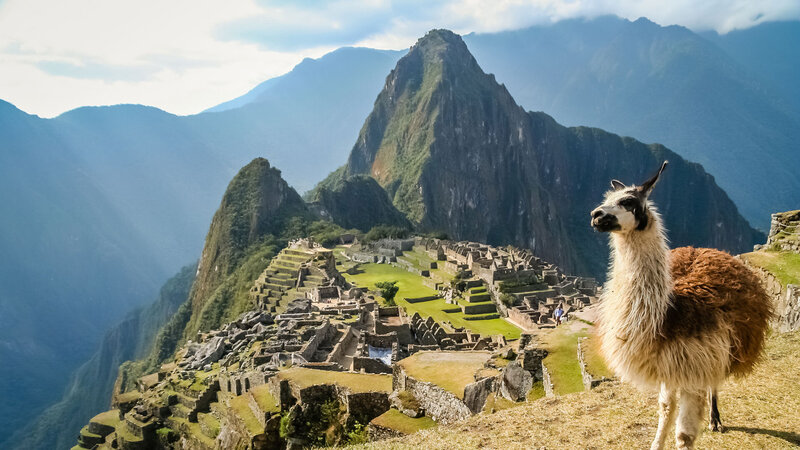 llama in front of Machu Picchu for adventure travel in Peru