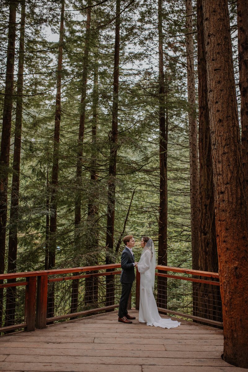 Bride and groom holding hands on a redwood deck