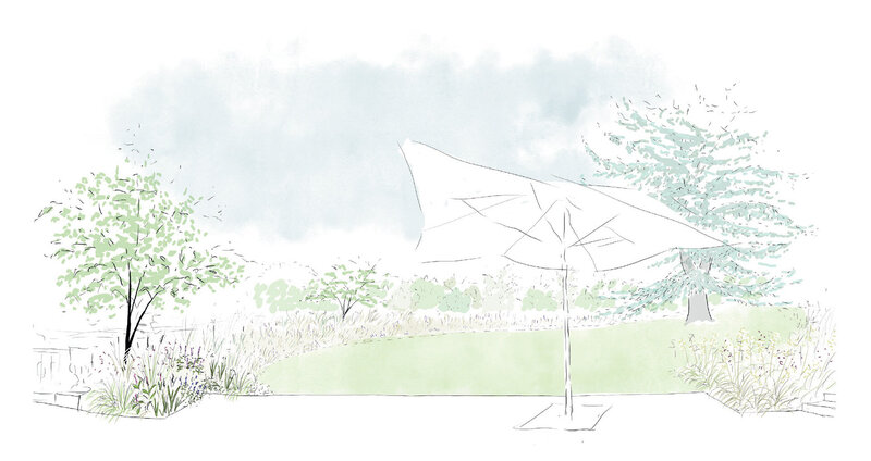Croquis de terrasse avec parasol, graminées, arbres