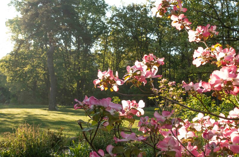 Horus paysages_Stanislas JUNG-26