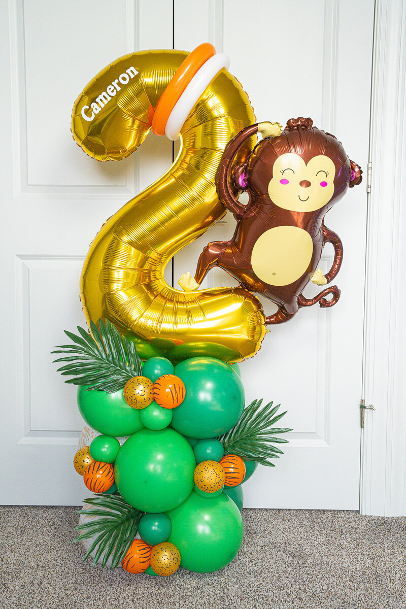 Balloons Bismarck ND 3