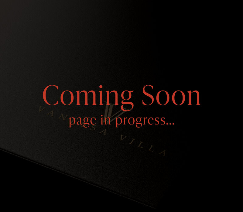 Vanessa Villa logo embossed in gold on a sleek black surface, representing a refined and sophisticated brand identity.