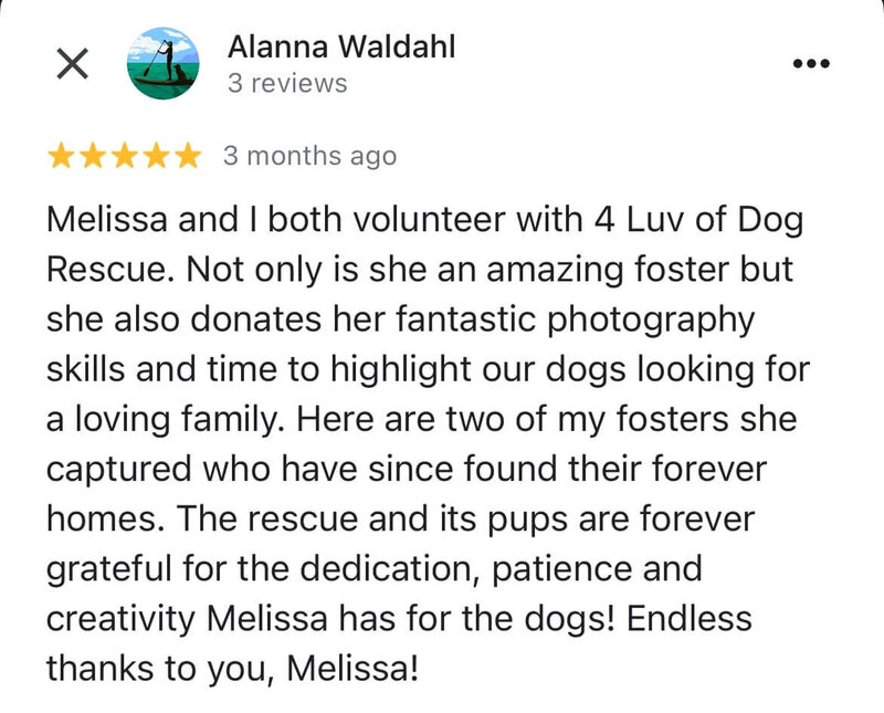 A five-star review from Alanna Waldahl praising Melissa for her volunteer work with 4 Luv of Dog Rescue and her photography skills that helped dogs find forever homes.