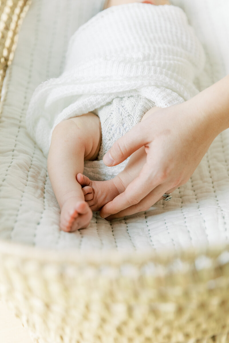 Baby Collins 2024-111