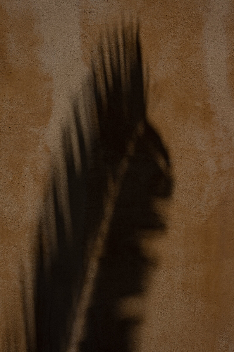 haute-stock-photography-subscription-alcove-collection-9