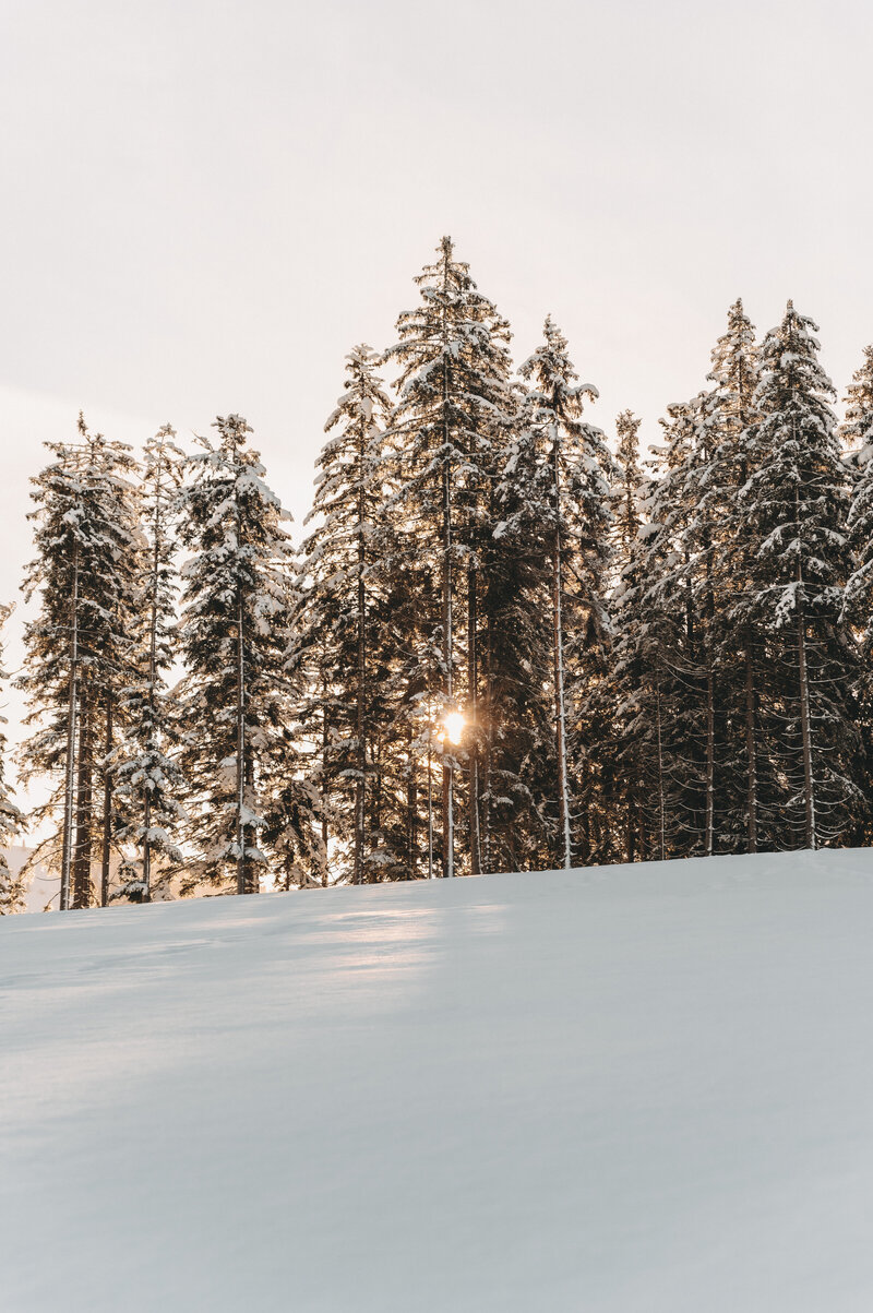 aussenaufnahme-winter-mariaalm-jufenalm25