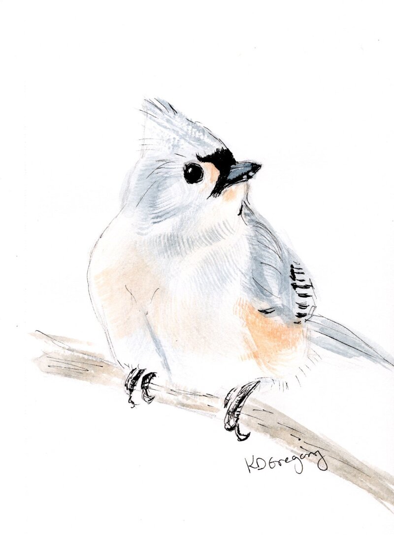 kd gregory fine art - curious titmouse