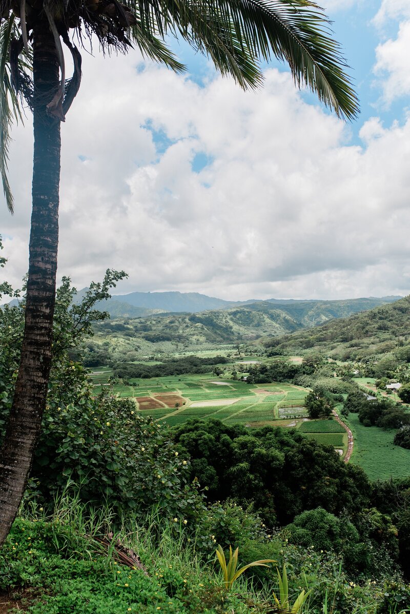 Frances Sagun, Hawaii Realtor & Property Manager_0080